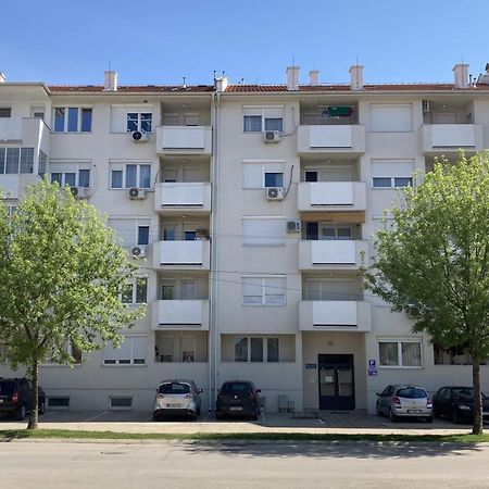 Apartman Senjak Pirot Eksteriør billede
